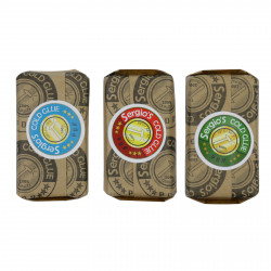 Kit Cola Fria - Azul - Vermelha - Verde - embalagem pequena Kit Cola Fria - Azul - Vermelha - Verde - embalagem pequena